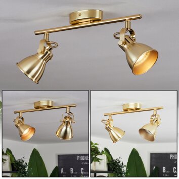 Salinas Plafondlamp Messing, 2-lichts