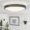 Subles Plafondlamp LED Zwart, Wit, 1-licht, Bewegingsmelder