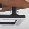 Walschbronn Plafondlamp LED Natuurlijke kleuren, Zwart, 1-licht