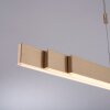 Paul Neuhaus PURE-MOTO Hanglamp LED Messing, 3-lichts, Afstandsbediening