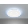Fischer & Honsel Bolia Plafondlamp LED Wit, 1-licht, Afstandsbediening