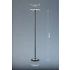 Fischer & Honsel Dent Staande lamp LED Zwart, 1-licht