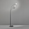 Fischer & Honsel Dent Staande lamp LED Zwart, 3-lichts