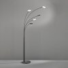 Fischer & Honsel Dent Staande lamp LED Zwart, 5-lichts