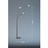 Fischer & Honsel Dent Staande lamp LED Zwart, 5-lichts