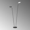 Fischer & Honsel Dent Staande lamp LED, 2-lichts