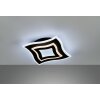 Fischer & Honsel Gorden Plafondlamp LED Zwart, 1-licht, Afstandsbediening