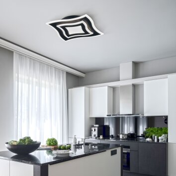 Fischer & Honsel Gorden Plafondlamp LED Zwart, 1-licht, Afstandsbediening