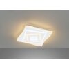 Fischer & Honsel Hero Plafondlamp LED Wit, 1-licht, Afstandsbediening