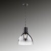 Fischer & Honsel Londo Hanger Zwart, 1-licht