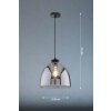 Fischer & Honsel Ren Hanglamp Zwart, 1-licht