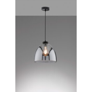 Fischer & Honsel Ren Hanglamp Zwart, 1-licht