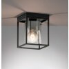 Fischer & Honsel Samu Plafondlamp Zwart, 1-licht