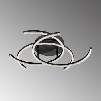 Fischer & Honsel Visby Plafondlamp LED Zwart, 3-lichts, Afstandsbediening