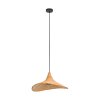 Eglo HAXEY Hanger Zwart, 1-licht