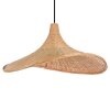 Eglo HAXEY Hanger Zwart, 1-licht
