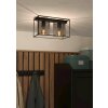 Eglo CATTERICK Plafondlamp Zwart, 2-lichts