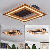 Charentay Plafondlamp LED Zwart, 1-licht