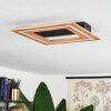 Charentay Plafondlamp LED Zwart, 1-licht
