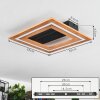 Charentay Plafondlamp LED Zwart, 1-licht