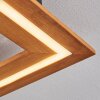 Charentay Plafondlamp LED Zwart, 1-licht