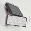 Estampes Solarlamp LED Antraciet, 1-licht, Bewegingsmelder