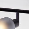 Brilliant Loralie Plafondlamp Zwart, 4-lichts