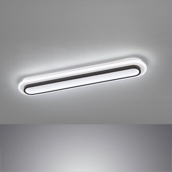Fischer & Honsel Blithe Plafondlamp LED Zwart, Wit, 1-licht