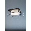 Fischer & Honsel Carre Plafondlamp Zwart, 3-lichts