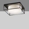 Fischer & Honsel Carre Plafondlamp Zwart, 4-lichts