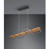 Trio Harper Hanglamp LED Zwart, 1-licht