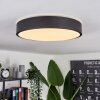 Samaira Plafondlamp LED Zwart, Wit, 1-licht