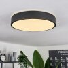 Samaira Plafondlamp LED Zwart, Wit, 1-licht