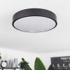 Samaira Plafondlamp LED Zwart, Wit, 1-licht