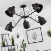 Gaudent Plafondlamp Zwart, 5-lichts