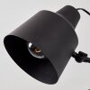 Gaudent Plafondlamp Zwart, 5-lichts
