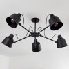 Gaudent Plafondlamp Zwart, 5-lichts