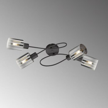 Fischer & Honsel Iska Plafondlamp Zwart, 4-lichts