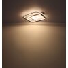Globo ANI Plafondlamp LED Wit, 1-licht, Afstandsbediening