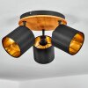 Alsen Plafondlamp Natuurlijke kleuren, Zwart, 3-lichts