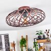 Oravi Plafondlamp Koperkleurig, 1-licht