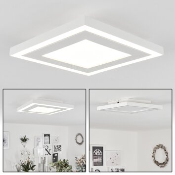 Audrieu Plafondlamp LED Wit, 2-lichts