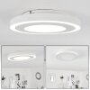Audrieu Plafondlamp LED Wit, 2-lichts