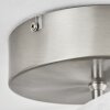 Vignats Plafondlamp LED Nikkel mat, 4-lichts, Afstandsbediening