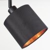 Alsen Plafondlamp Hout licht, Zwart, 2-lichts