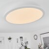 Sani Plafondpaneel LED Wit, 1-licht, Afstandsbediening, Kleurwisselaar