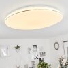 Remenoville Plafondlamp LED Chroom, Wit, 1-licht