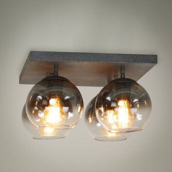 Eidanger Plafondlamp Antraciet, 4-lichts
