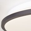 Brilliant Heida Plafondlamp LED Wit, 1-licht, Afstandsbediening