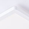 Brilliant Milton Plafondpaneel LED Wit, 1-licht